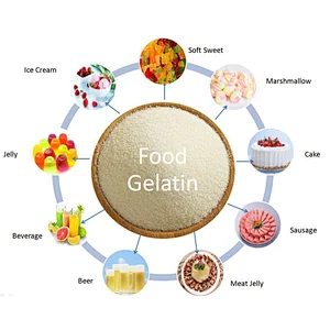 Wholesale Price Bovine Gelatin Food Grade Gelatine Powder for Yogurt