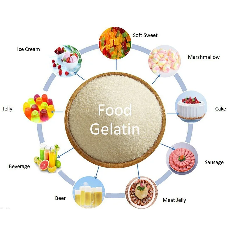 Wholesale Price Bovine Gelatin Food Grade Gelatine Powder for Yogurt